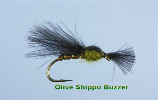 Olive Shipman's CDC Buzzer